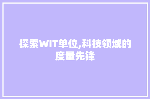 探索WIT单位,科技领域的度量先锋
