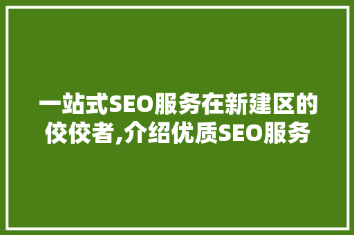 一站式SEO服务在新建区的佼佼者,介绍优质SEO服务的秘密
