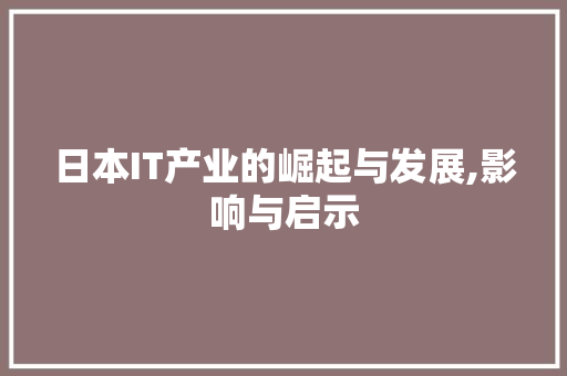 日本IT产业的崛起与发展,影响与启示 项目报告