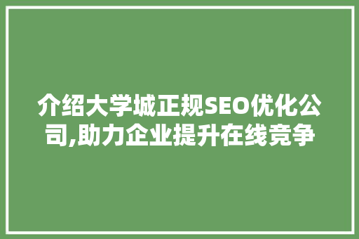介绍大学城正规SEO优化公司,助力企业提升在线竞争力