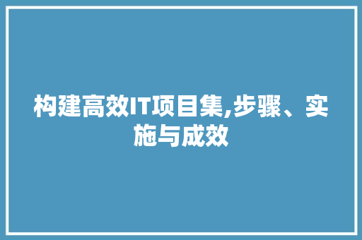 构建高效IT项目集,步骤、实施与成效 市场营销范文