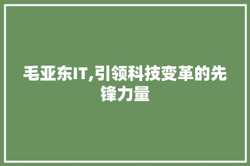 毛亚东IT,引领科技变革的先锋力量 后端技术