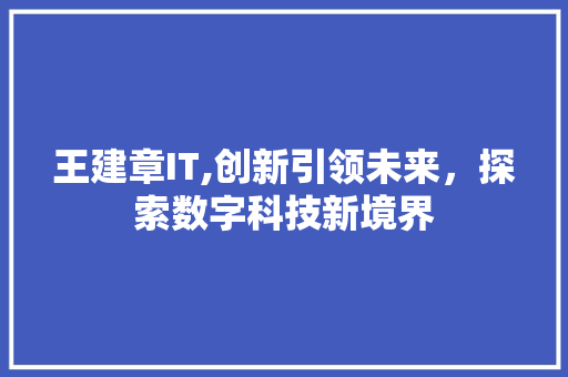 王建章IT,创新引领未来，探索数字科技新境界
