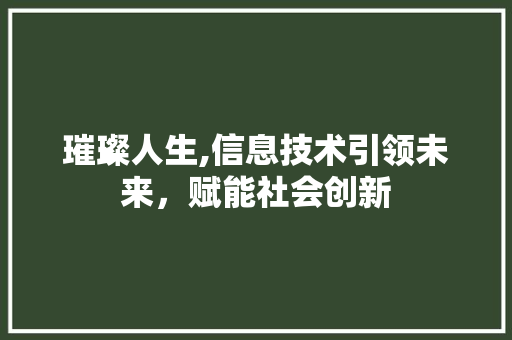 璀璨人生,信息技术引领未来，赋能社会创新 缓存Redis