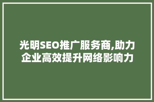 光明SEO推广服务商,助力企业高效提升网络影响力