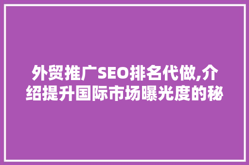 外贸推广SEO排名代做,介绍提升国际市场曝光度的秘密武器