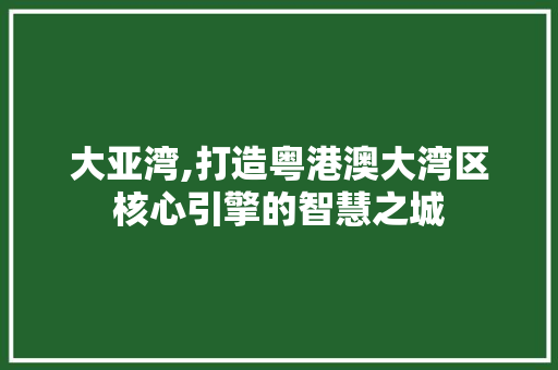 大亚湾,打造粤港澳大湾区核心引擎的智慧之城