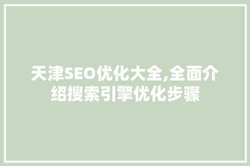 天津SEO优化大全,全面介绍搜索引擎优化步骤