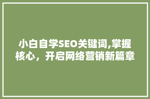 小白自学SEO关键词,掌握核心，开启网络营销新篇章