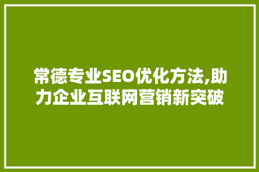 常德专业SEO优化方法,助力企业互联网营销新突破