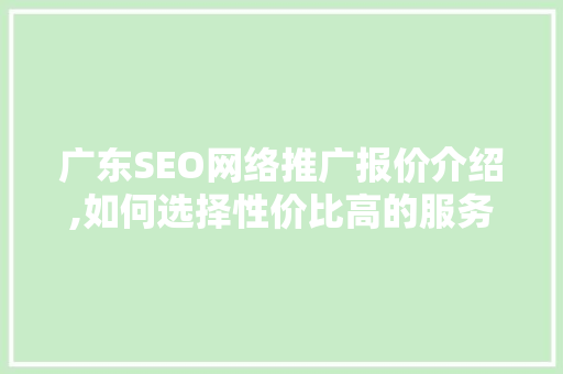 广东SEO网络推广报价介绍,如何选择性价比高的服务