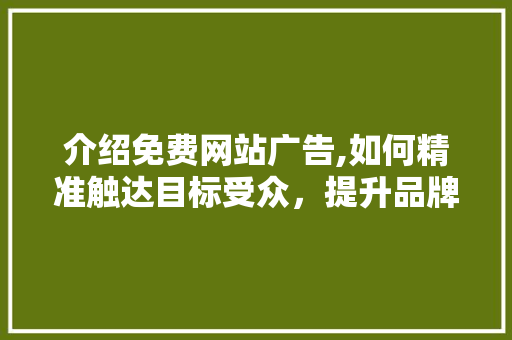 介绍免费网站广告,如何精准触达目标受众，提升品牌影响力 响应式设计