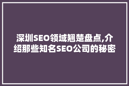 深圳SEO领域翘楚盘点,介绍那些知名SEO公司的秘密