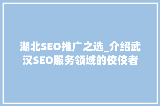 湖北SEO推广之选_介绍武汉SEO服务领域的佼佼者