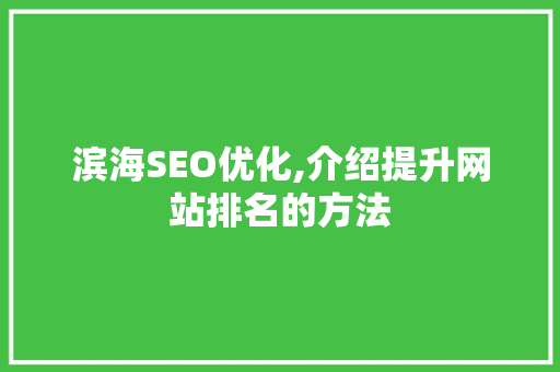 滨海SEO优化,介绍提升网站排名的方法