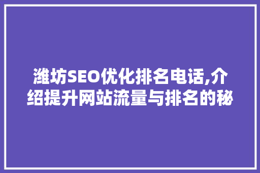 潍坊SEO优化排名电话,介绍提升网站流量与排名的秘密武器
