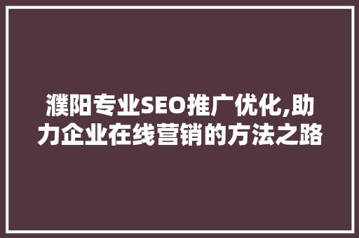 濮阳专业SEO推广优化,助力企业在线营销的方法之路