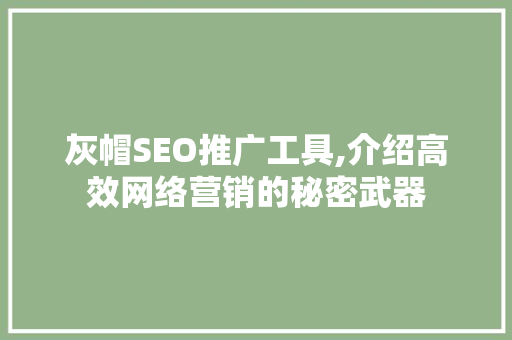灰帽SEO推广工具,介绍高效网络营销的秘密武器
