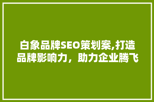 白象品牌SEO策划案,打造品牌影响力，助力企业腾飞