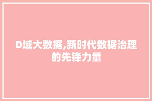 D域大数据,新时代数据治理的先锋力量