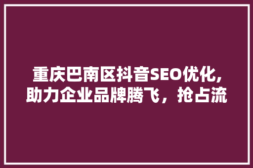 重庆巴南区抖音SEO优化,助力企业品牌腾飞，抢占流量高地