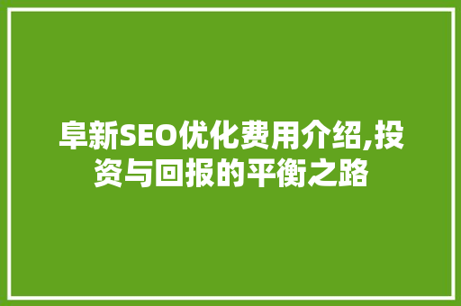 阜新SEO优化费用介绍,投资与回报的平衡之路