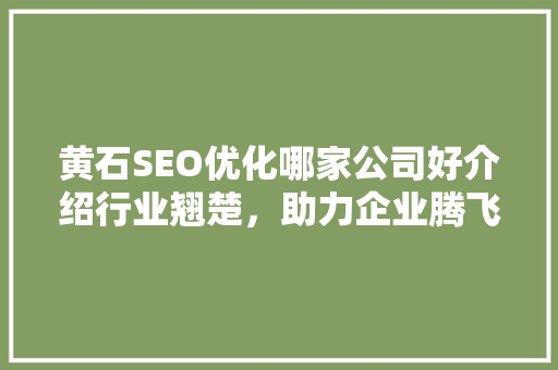 黄石SEO优化哪家公司好介绍行业翘楚，助力企业腾飞
