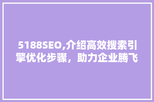 5188SEO,介绍高效搜索引擎优化步骤，助力企业腾飞