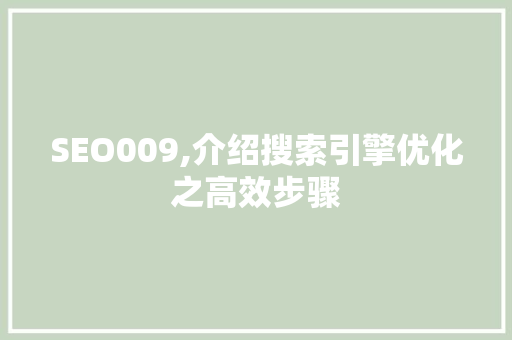 SEO009,介绍搜索引擎优化之高效步骤