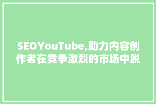 SEOYouTube,助力内容创作者在竞争激烈的市场中脱颖而出