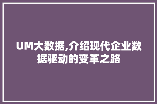 UM大数据,介绍现代企业数据驱动的变革之路