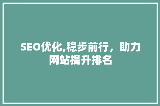 SEO优化,稳步前行，助力网站提升排名
