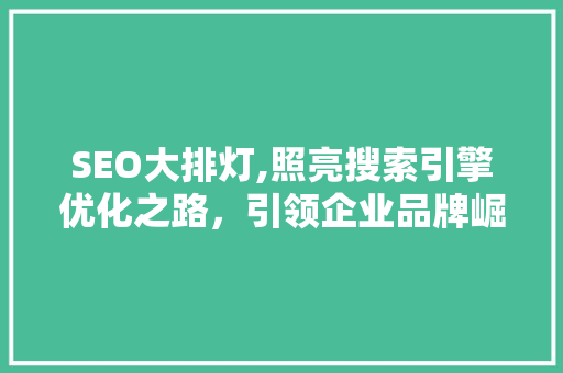 SEO大排灯,照亮搜索引擎优化之路，引领企业品牌崛起