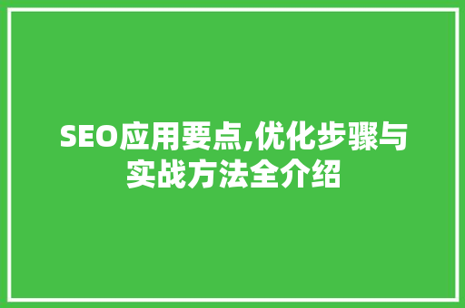 SEO应用要点,优化步骤与实战方法全介绍