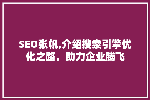 SEO张帆,介绍搜索引擎优化之路，助力企业腾飞