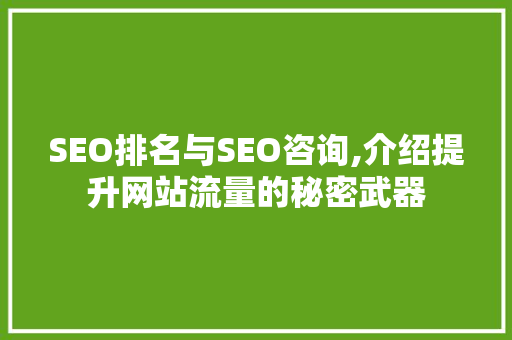 SEO排名与SEO咨询,介绍提升网站流量的秘密武器