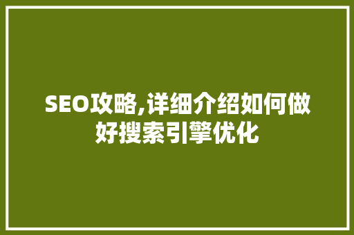 SEO攻略,详细介绍如何做好搜索引擎优化