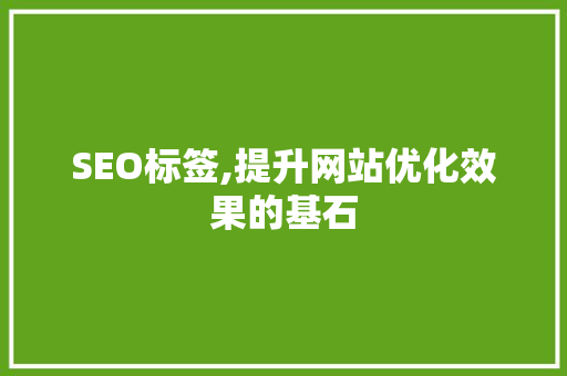 SEO标签,提升网站优化效果的基石