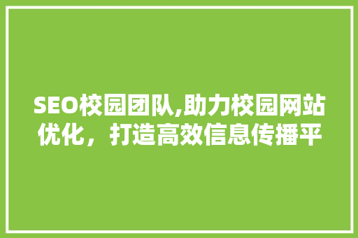 SEO校园团队,助力校园网站优化，打造高效信息传播平台