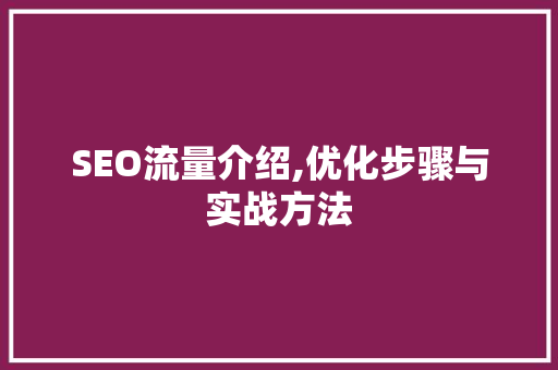SEO流量介绍,优化步骤与实战方法