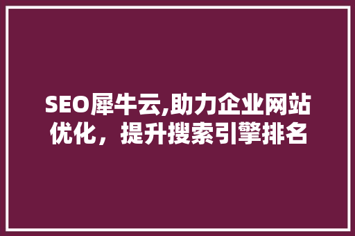 SEO犀牛云,助力企业网站优化，提升搜索引擎排名