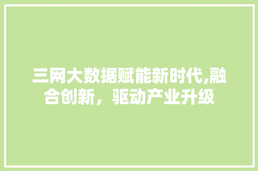 三网大数据赋能新时代,融合创新，驱动产业升级