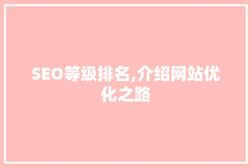 SEO等级排名,介绍网站优化之路
