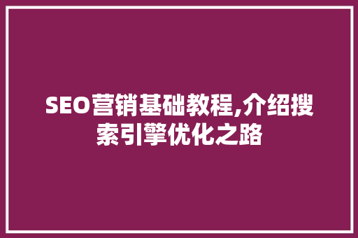 SEO营销基础教程,介绍搜索引擎优化之路