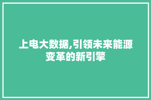 上电大数据,引领未来能源变革的新引擎 后端技术