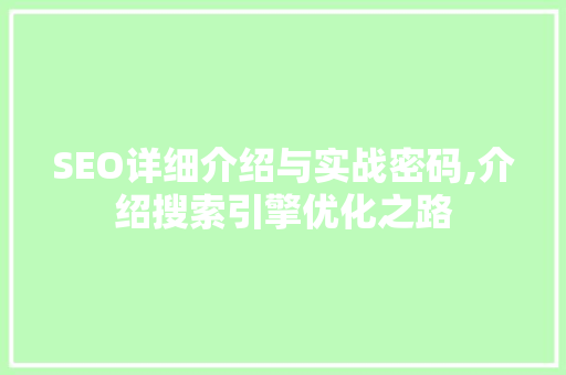 SEO详细介绍与实战密码,介绍搜索引擎优化之路