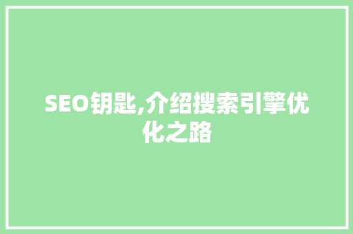 SEO钥匙,介绍搜索引擎优化之路