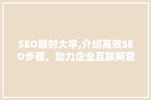 SEO顺时大学,介绍高效SEO步骤，助力企业互联网营销腾飞