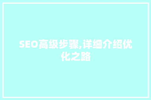 SEO高级步骤,详细介绍优化之路