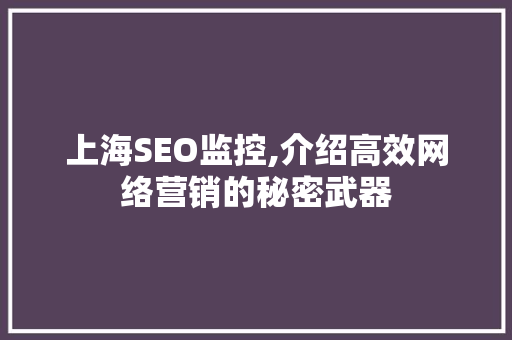 上海SEO监控,介绍高效网络营销的秘密武器